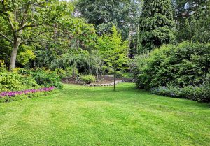 Optimiser l'expérience du jardin à Montmorillon